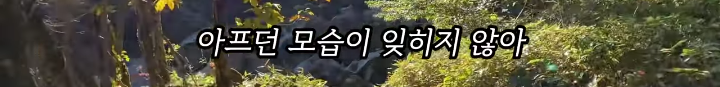 반려묘를 떠나보낸 유튜버가 올린 영상 | 인스티즈
