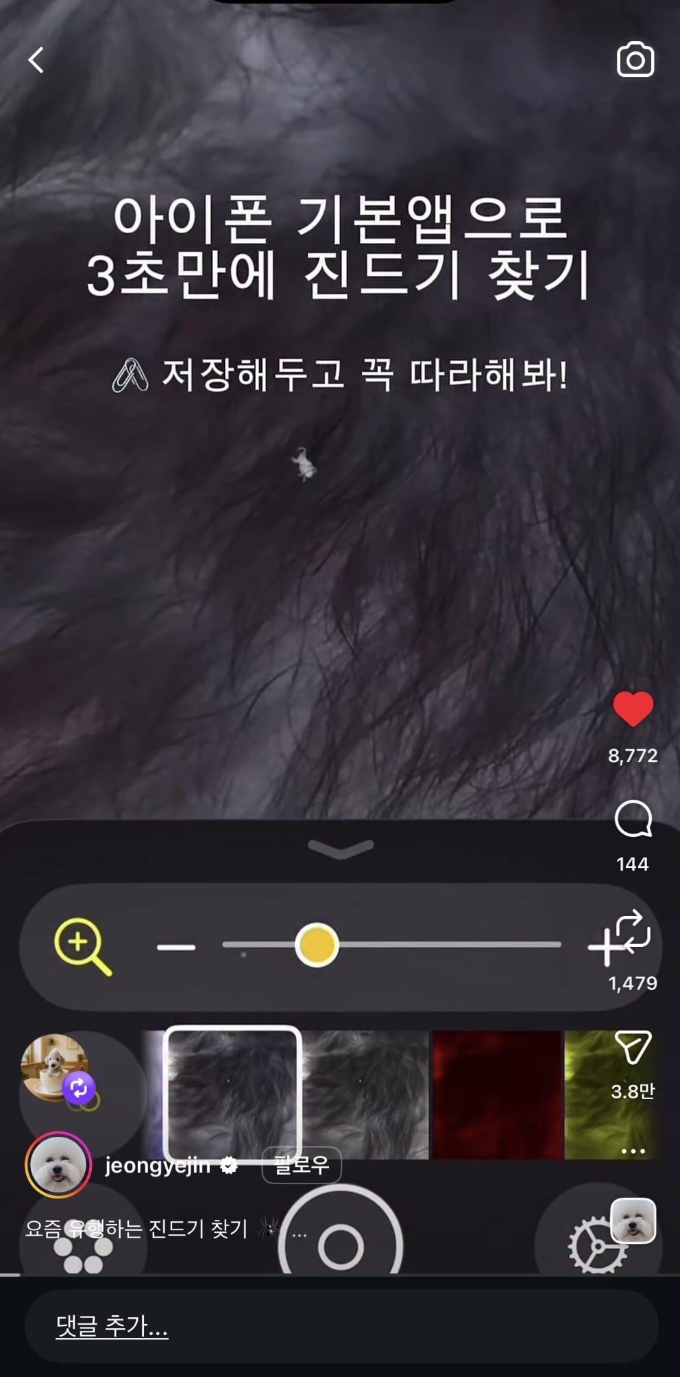 폰으로 강아지 산책 후 진드기 찾는 방법 | 인스티즈
