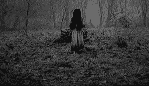 괴이하고 공포스러운 사진들.gif (혐오주의) | 인스티즈