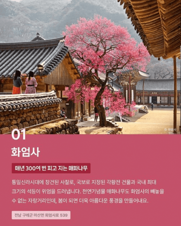 미국 CBS가 선정한 한국 10대 사찰 | 인스티즈