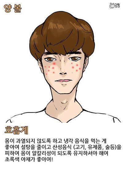 여드름 위치에 따른 건강상태 | 인스티즈