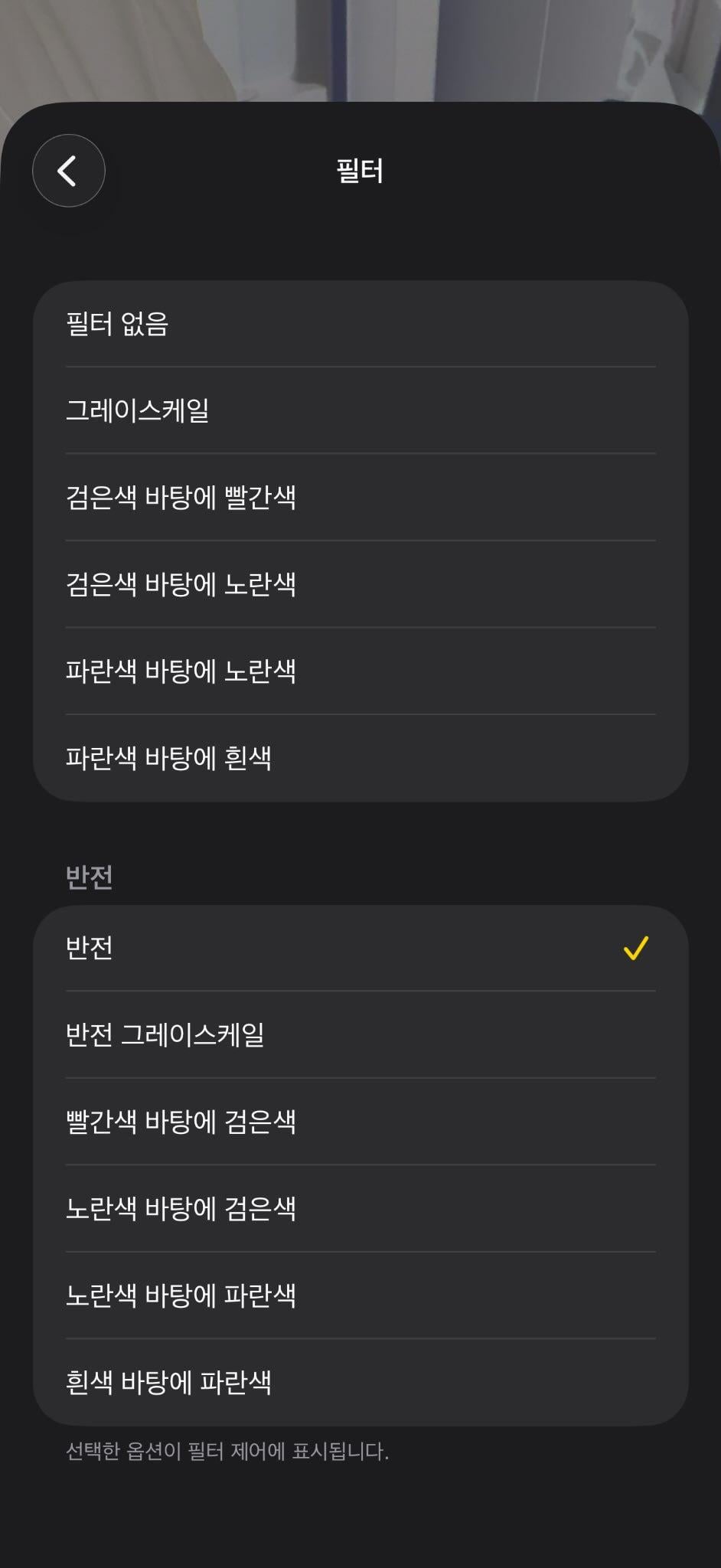 폰으로 강아지 산책 후 진드기 찾는 방법 | 인스티즈