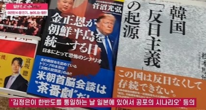 혐한 도서가 너무 많은 일본 | 인스티즈