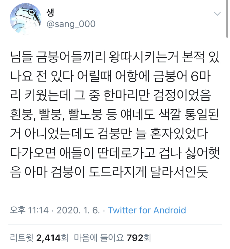 금붕어 사이에도 왕따라는 게 존재한다 | 인스티즈