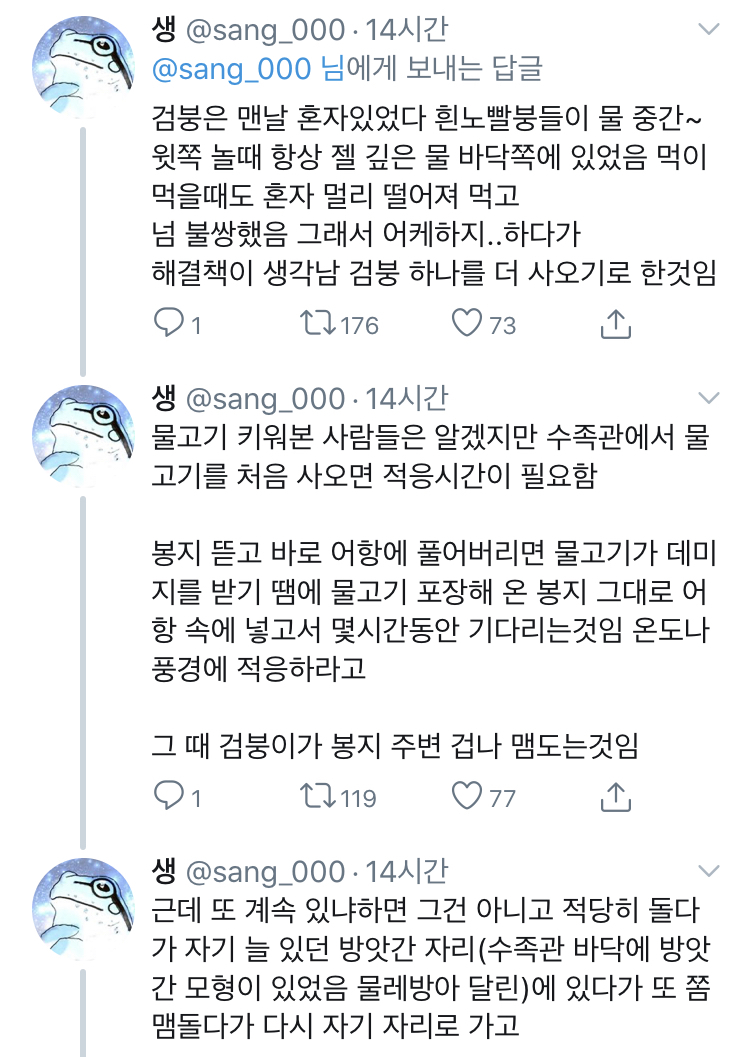 금붕어 사이에도 왕따라는 게 존재한다 | 인스티즈