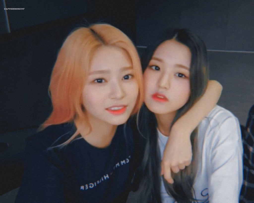 서로 볼 부비는 아이즈원 비주얼 양대산맥.gif | 인스티즈