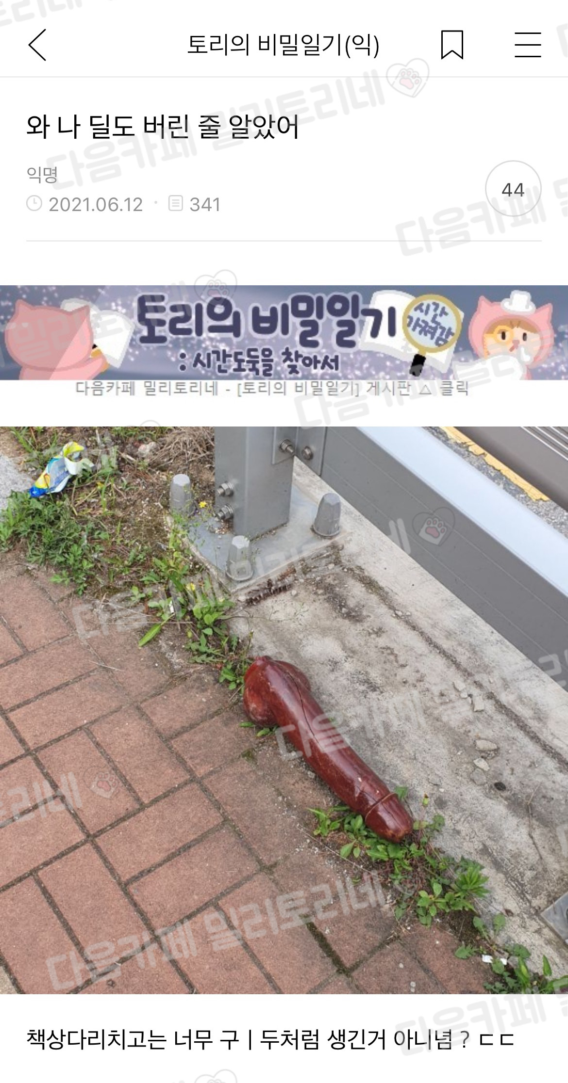 와 나 딜도 버린 줄 알았어 | 인스티즈