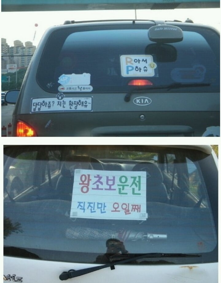 초보운전 스티커 붙이는 위치(초보님.... 뒷시야가 보이나요...?) | 인스티즈
