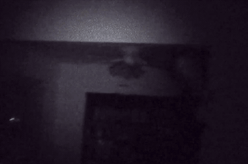 괴이하고 공포스러운 사진들.gif (혐오주의) | 인스티즈