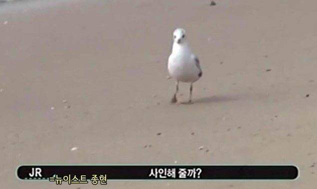 편견 없는 사람들 | 인스티즈
