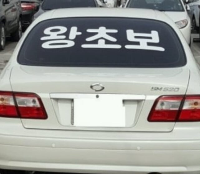 초보운전 스티커 붙이는 위치(초보님.... 뒷시야가 보이나요...?) | 인스티즈