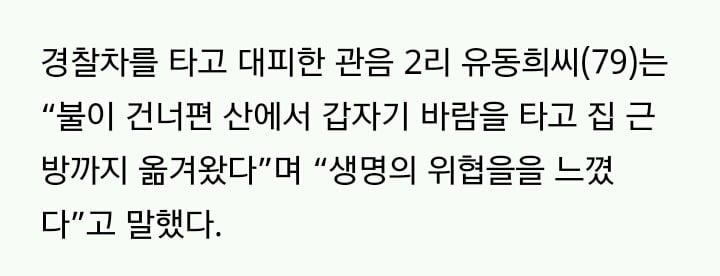 아직 진압 중)"불이 삽시간에 번져 소·집 다 탔다"..강릉 산불 대피 주민들 | 인스티즈