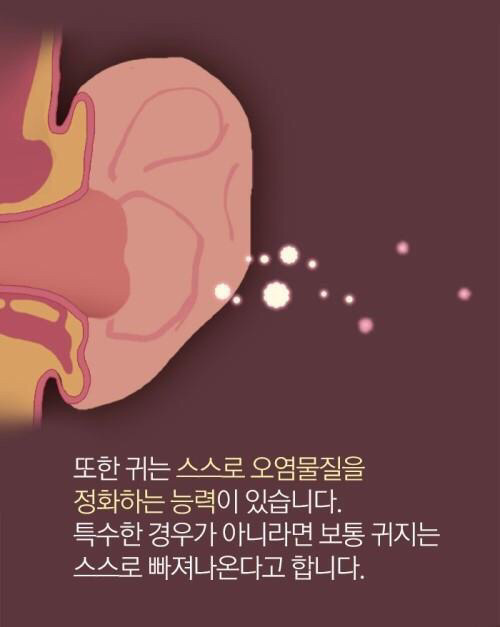 귀지더럽 | 인스티즈