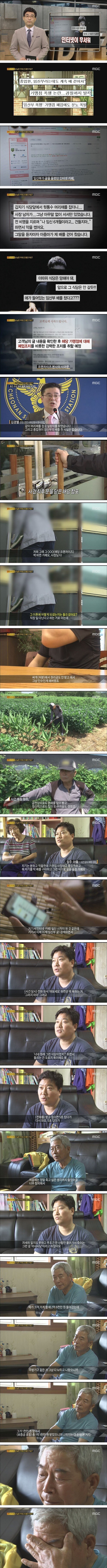 전설의 레전드 채선당 사건 | 인스티즈