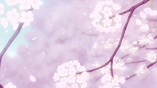 cherry blossom | 인스티즈