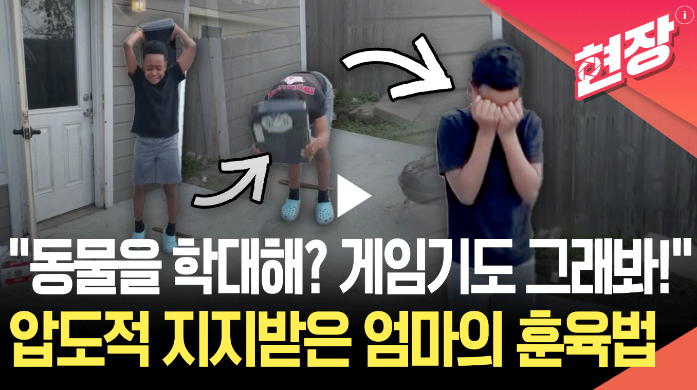 "고양이를 내리쳐? 게임기도 그렇게 해봐!”… 美 엄마 훈육영상 화제 | 인스티즈