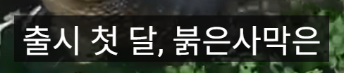 (포브스피셜) 붉은사막 최신 근황.jpg | 인스티즈