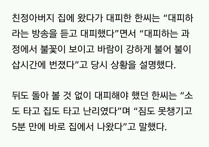 아직 진압 중)"불이 삽시간에 번져 소·집 다 탔다"..강릉 산불 대피 주민들 | 인스티즈
