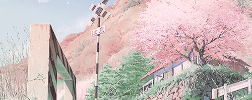 cherry blossom | 인스티즈
