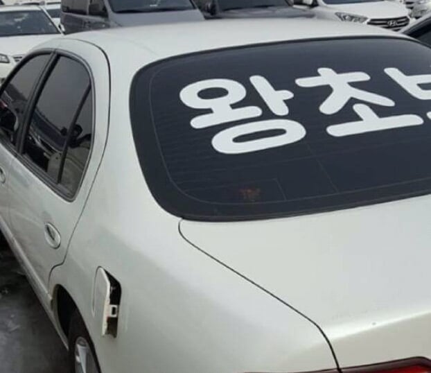 초보운전 스티커 붙이는 위치(초보님.... 뒷시야가 보이나요...?) | 인스티즈