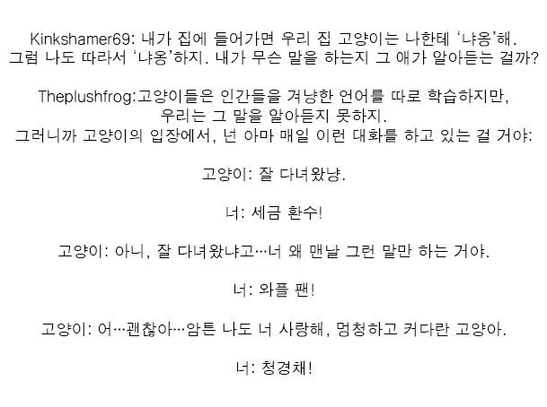 고양이가 당신을 멍청하다고 생각하는 이유 중 하나.jpg | 인스티즈