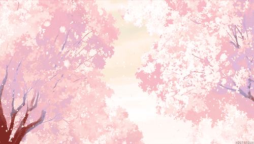 cherry blossom | 인스티즈