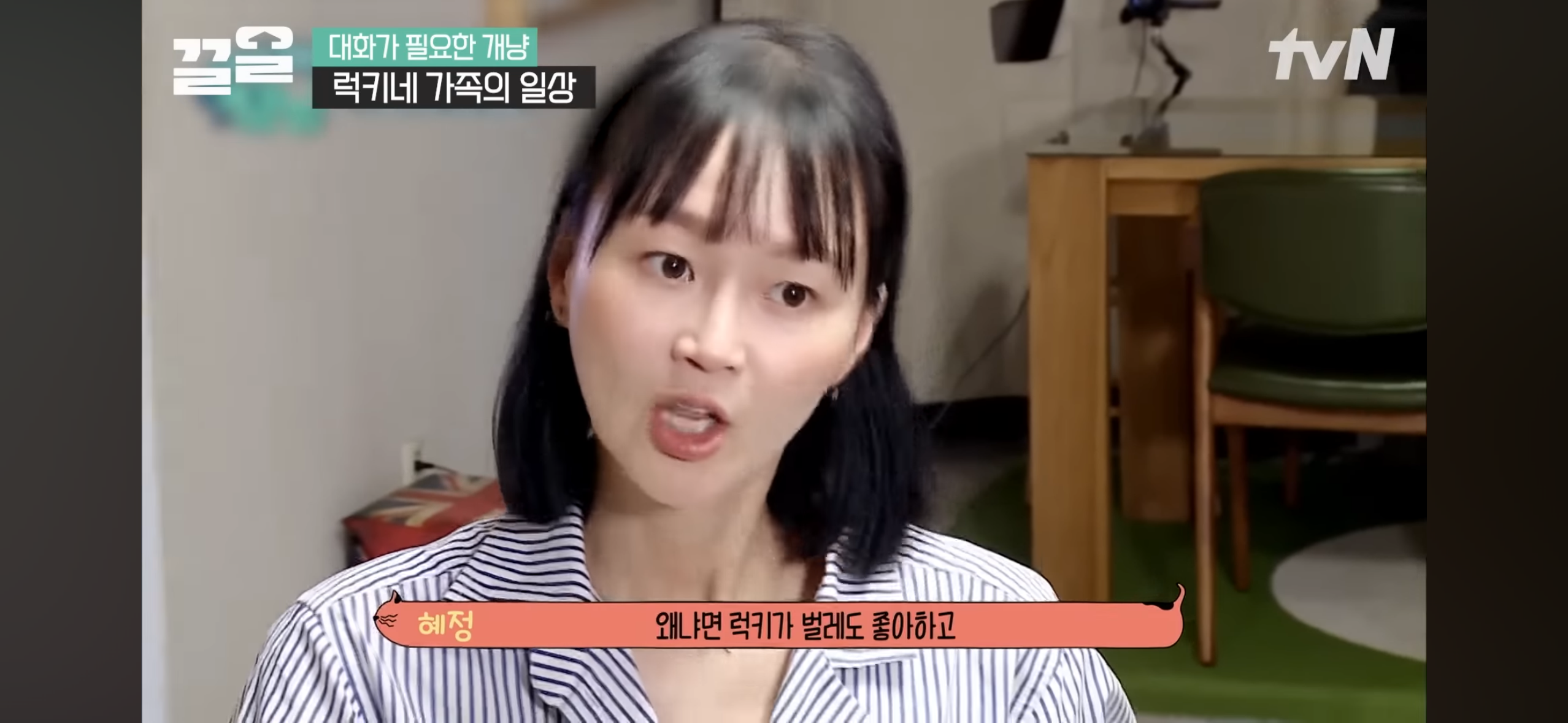 이희준-이혜정 부부가 키우는 고양이 | 인스티즈
