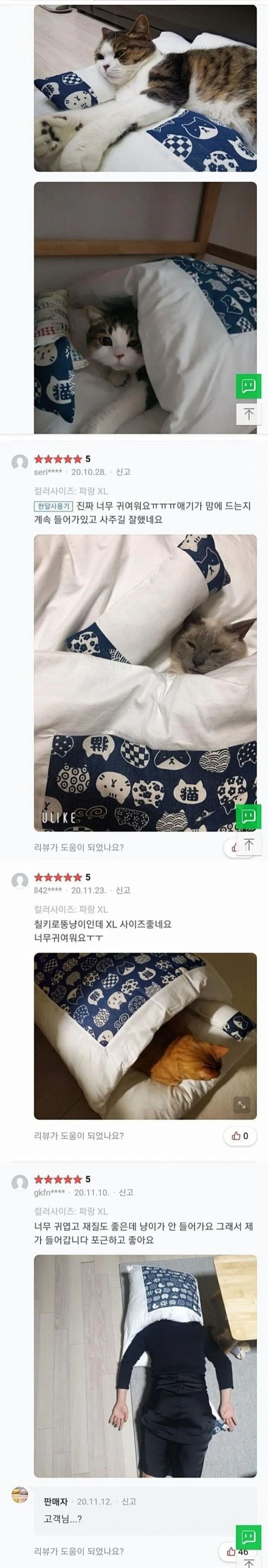 고양이 이불 구매후기 레전드..jpg | 인스티즈