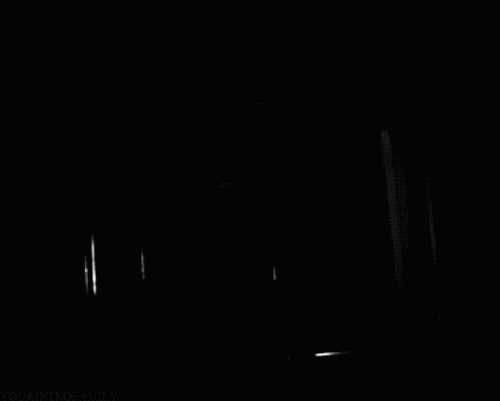괴이하고 공포스러운 사진들.gif (혐오주의) | 인스티즈
