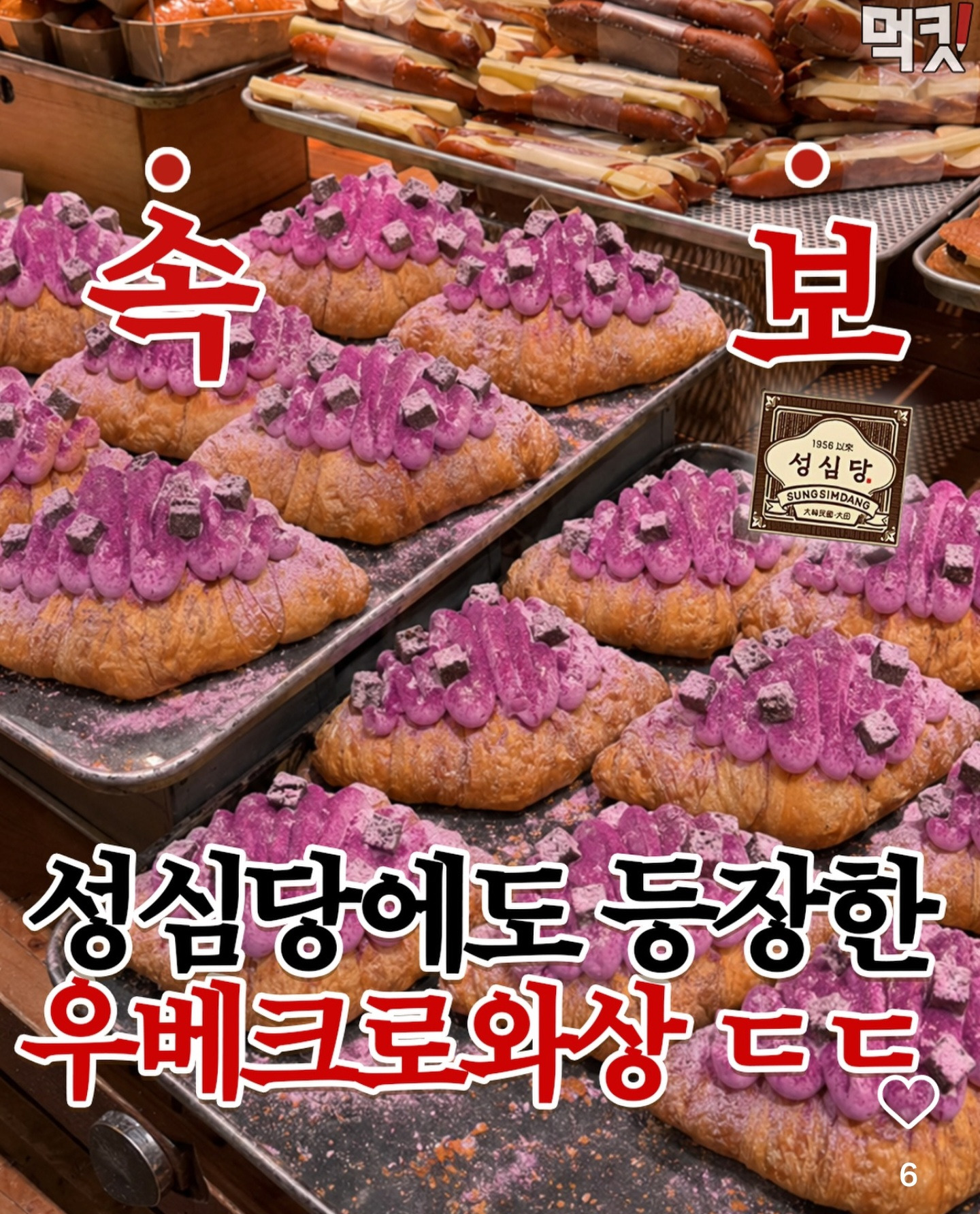 성심당 우베크로와상 나왔다함 | 인스티즈