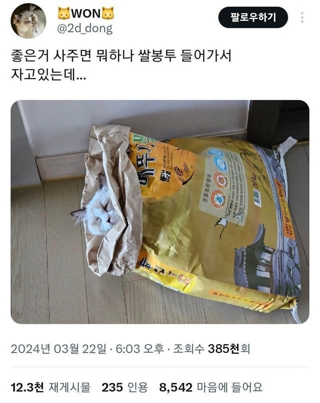 그것이 고양이니까 | 인스티즈
