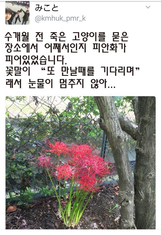 감성파괴하는 이과넘 | 인스티즈