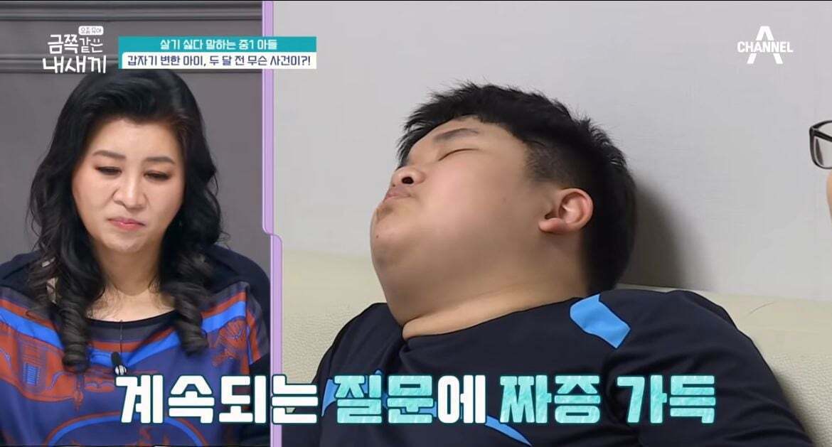 600만원 소액결제한 금쪽이어긋났던 원인과 솔루션(1) | 인스티즈