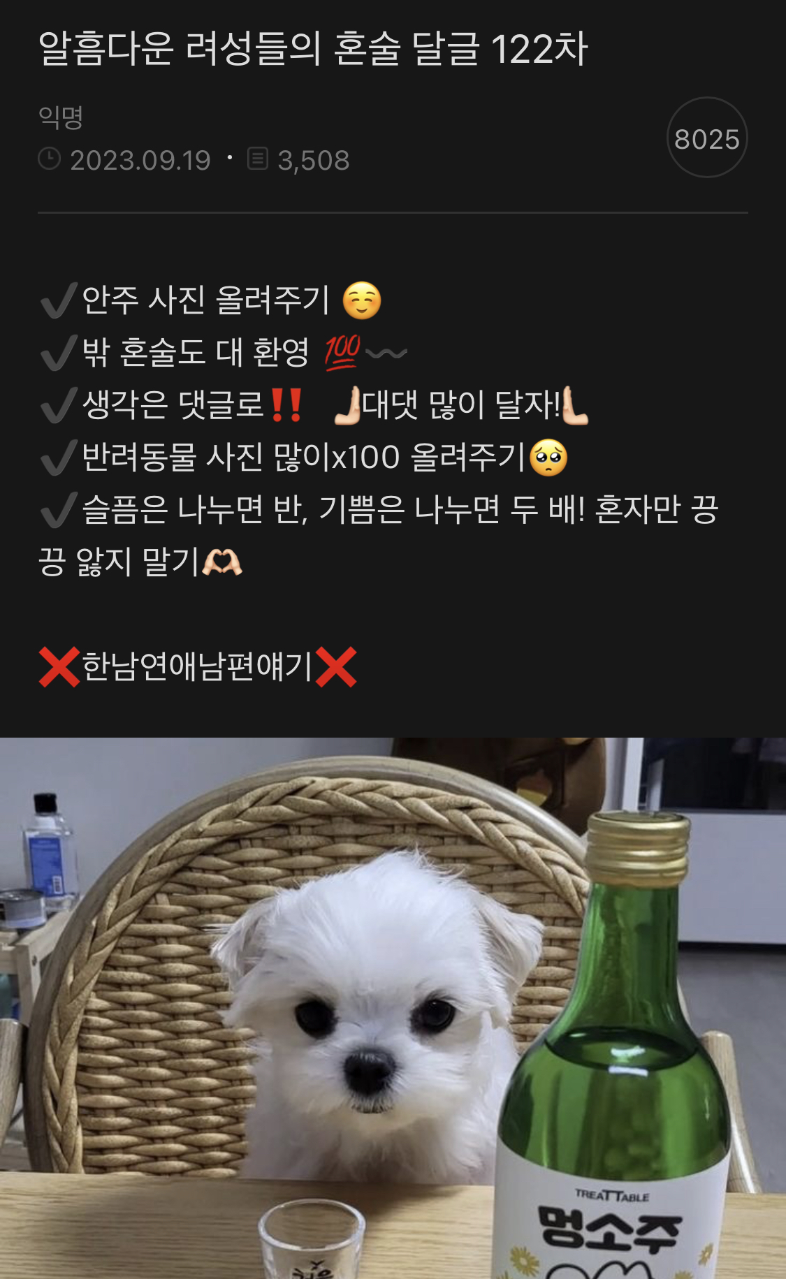 내피셜 여시내에서 분위기 좋은 달글 탑3 | 인스티즈
