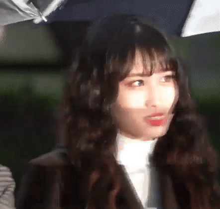 181109 뮤직뱅크 출근 트와이스 움짤.gif | 인스티즈