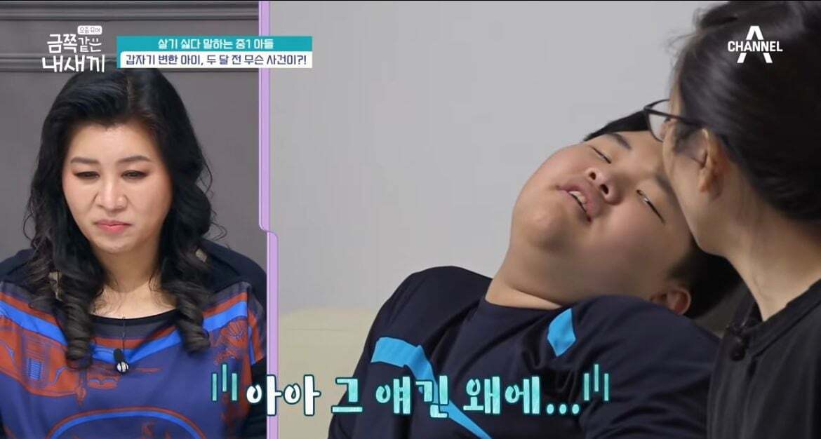 600만원 소액결제한 금쪽이어긋났던 원인과 솔루션(1) | 인스티즈