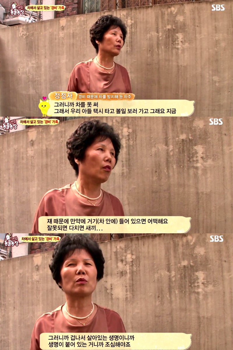 고양이때문에 택시 타고 다니는 가족 | 인스티즈
