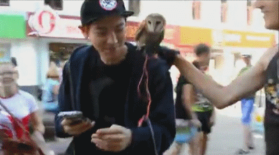 어디선가 한번쯤 본 적 있는 짤 & 팬아저짤의 비하인드스토리.gif (통합.ver) | 인스티즈