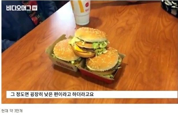 세계에서 빅맥을 가장 많이 먹은 사람 | 인스티즈
