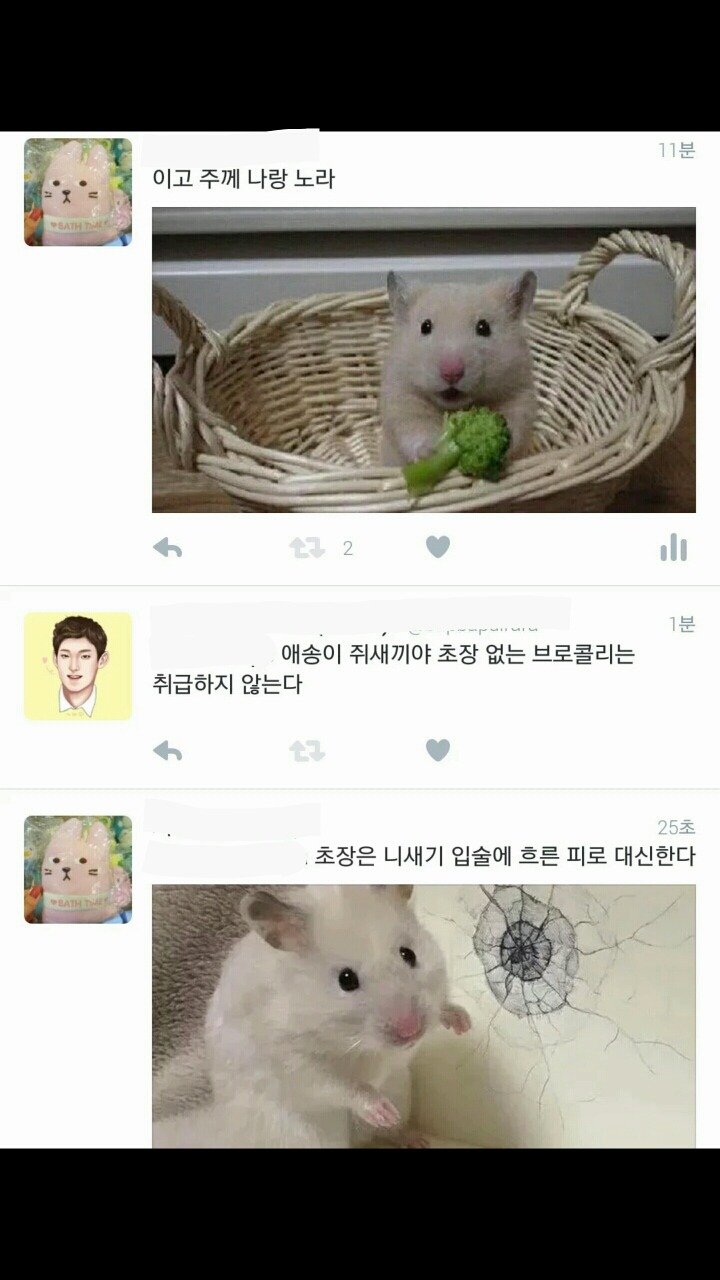 트위터 이것저것 드립 모음 (feat.의정부고 바니걸) | 인스티즈