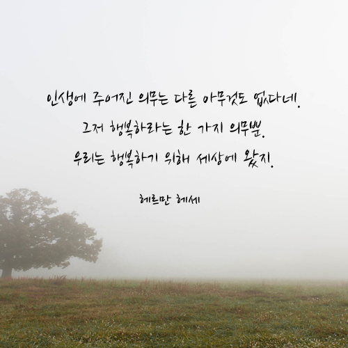 인생의 목적은 사랑받는 사람이 되는 것이 아니라 자기 자신이 되는 거란다 | 인스티즈
