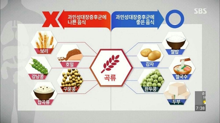 현대인이 꼭 챙겨야할 장 건강. jpg | 인스티즈