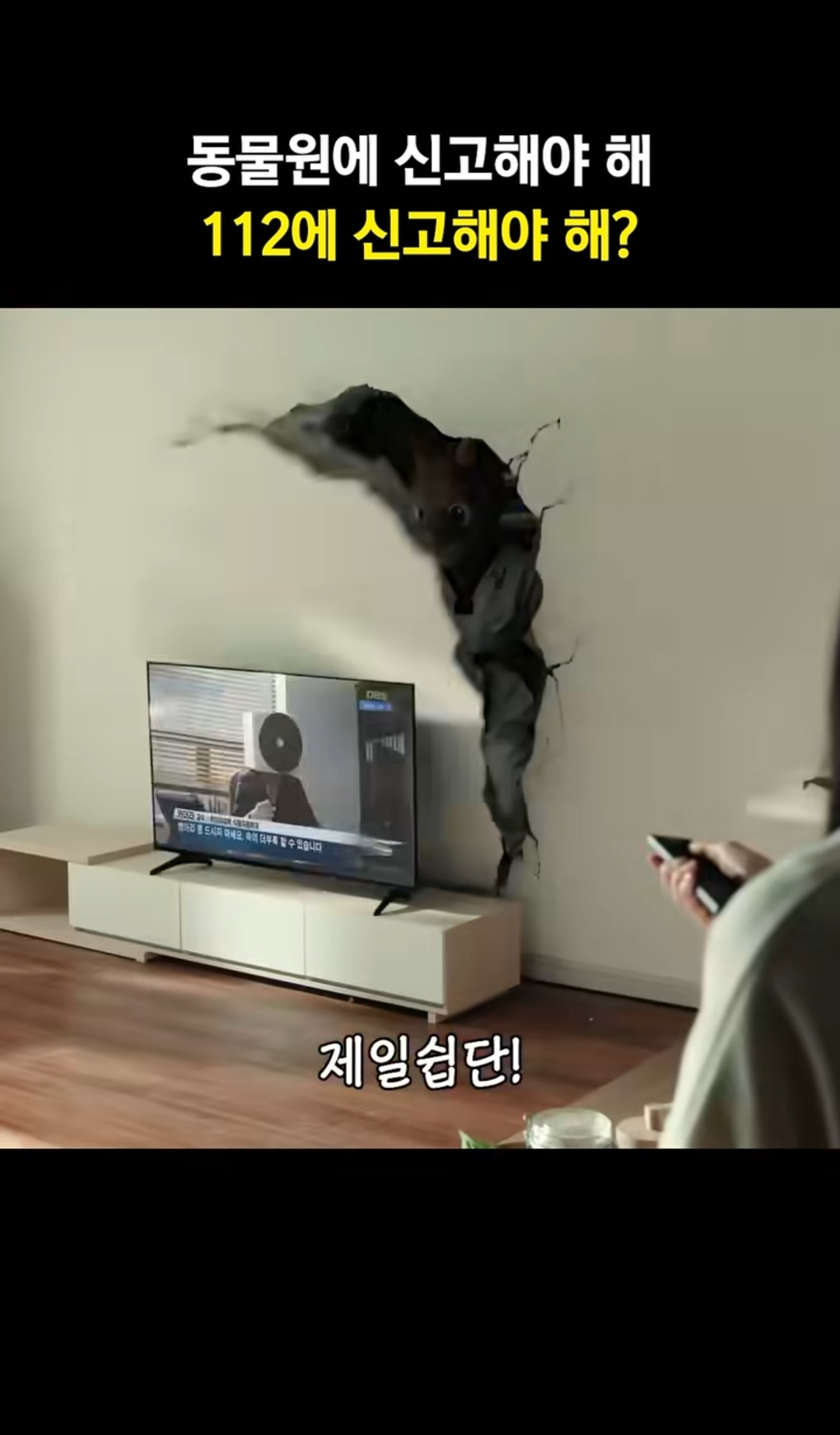신혜선 집 부수고 들어온 캥거루 | 인스티즈
