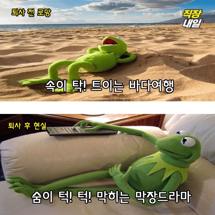 퇴사전 퇴사후.JPG | 인스티즈