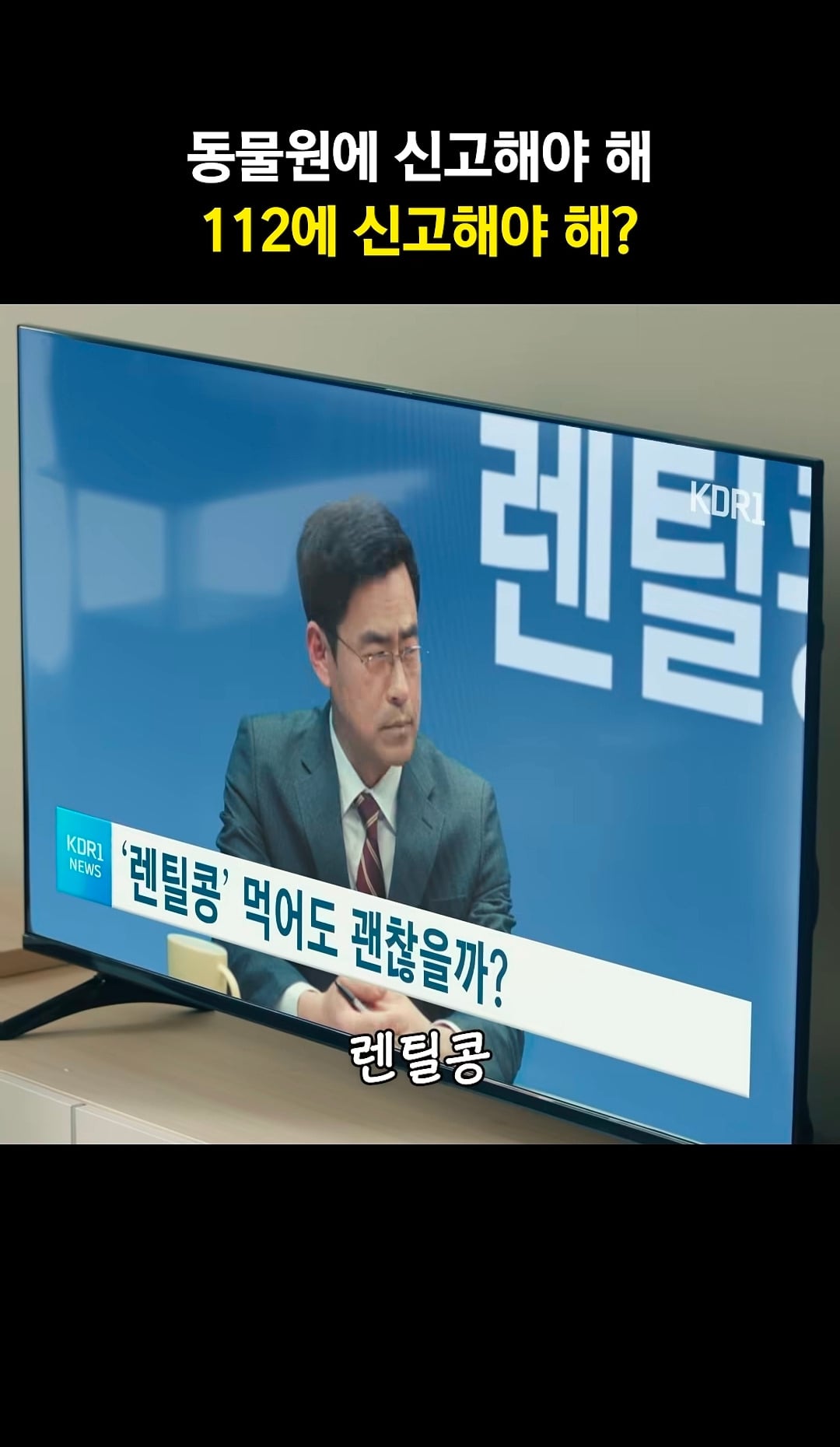 신혜선 집 부수고 들어온 캥거루 | 인스티즈