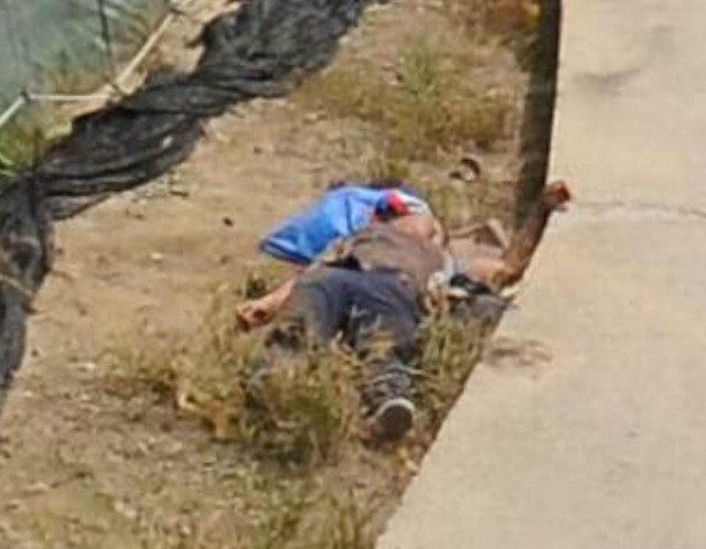 [놀람주의] 다음 로드뷰 시체(?) 추가 사진들 | 인스티즈