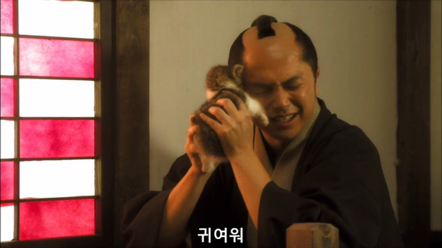 고양이 키우는 사람의 마음 | 인스티즈