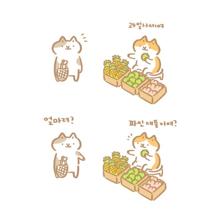 과일파는 고양이 만화.jpg | 인스티즈