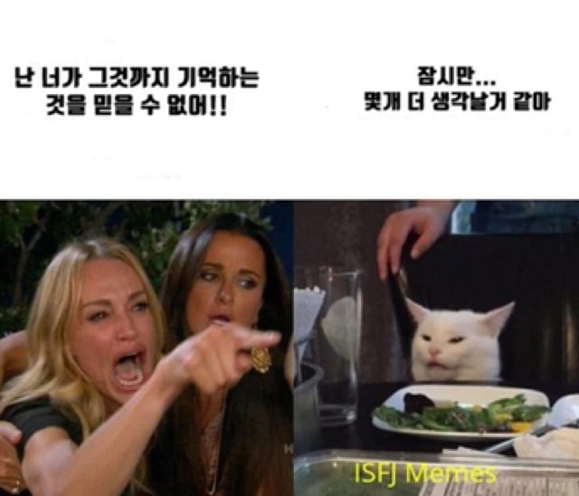[mbti] 영끌해본 ISFJ(잇프제) 밈 모음 | 인스티즈