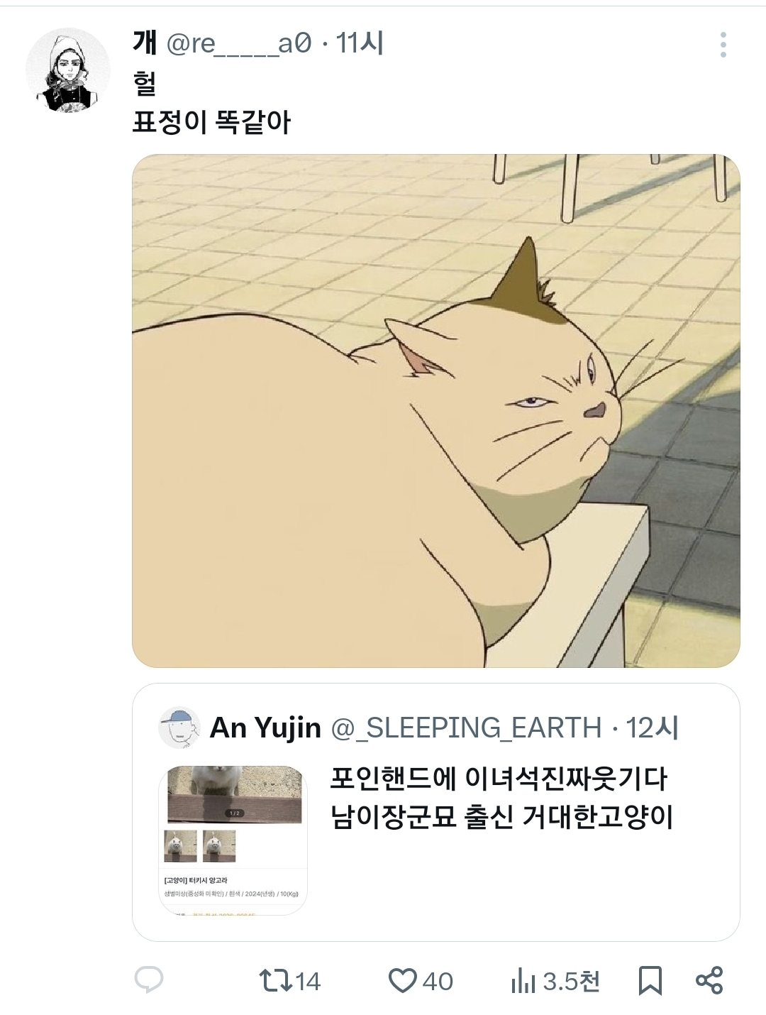 포인핸드에 이녀석진짜웃기다.x | 인스티즈